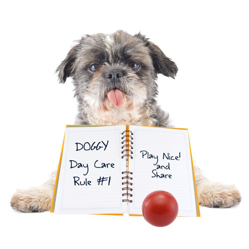 Dog Day Care - Day care rules
